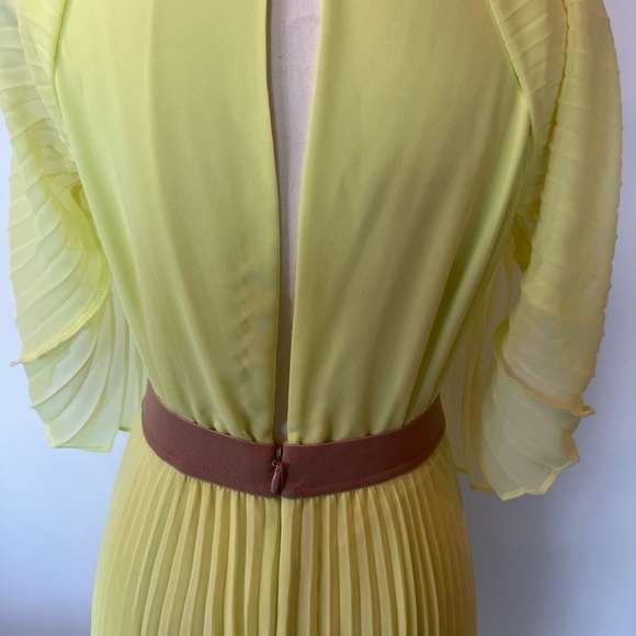 Bcbgmaxazria Shaina Sleeveless Pleated Gown - Picture 4 of 15